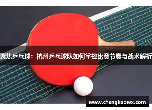 聚焦乒乓球：杭州乒乓球队如何掌控比赛节奏与战术解析