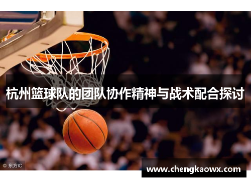 杭州篮球队的团队协作精神与战术配合探讨