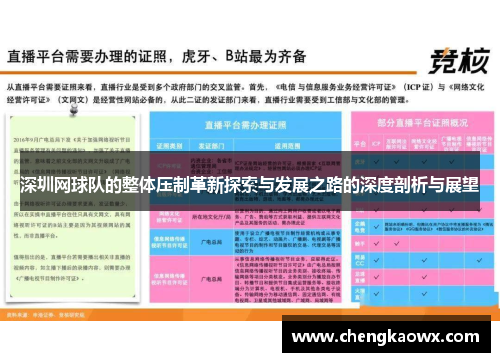 深圳网球队的整体压制革新探索与发展之路的深度剖析与展望