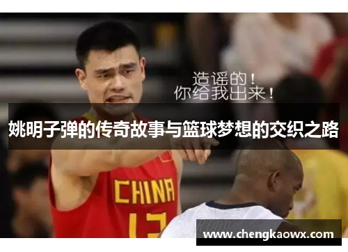 姚明子弹的传奇故事与篮球梦想的交织之路