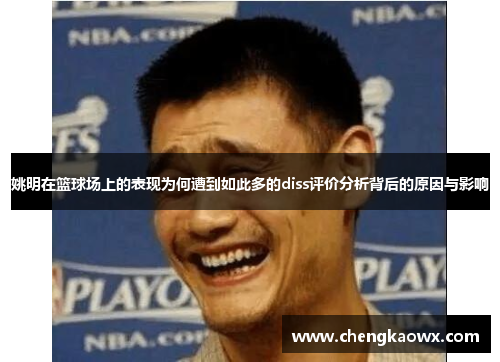 姚明在篮球场上的表现为何遭到如此多的diss评价分析背后的原因与影响