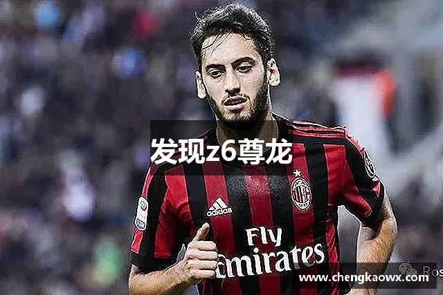 发现z6尊龙